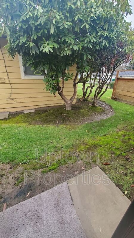 Ground Floor Single Story 2BR/1BTH in  Meadow Brook Village + W/D Included + All pets welcome! property image