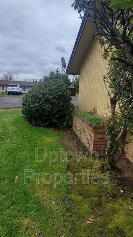 Ground Floor Single Story 2BR/1BTH in  Meadow Brook Village + W/D Included + All pets welcome! property image