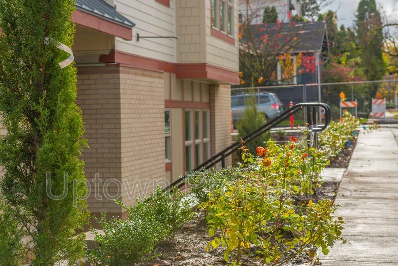 Modern Studio + A/C + W/D + Wood Floors + Walk to Willamette River! property image