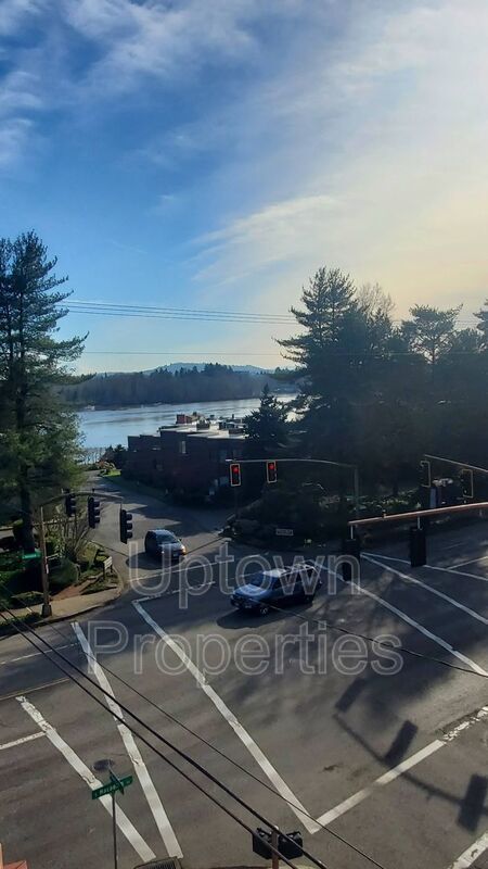 Modern Studio + A/C + W/D + Wood Floors + Walk to Willamette River! property image
