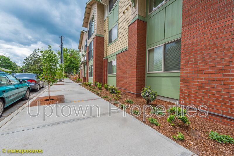 Spacious NEW Construction 925 sq ft 2 bed 1 bath W/D included property image