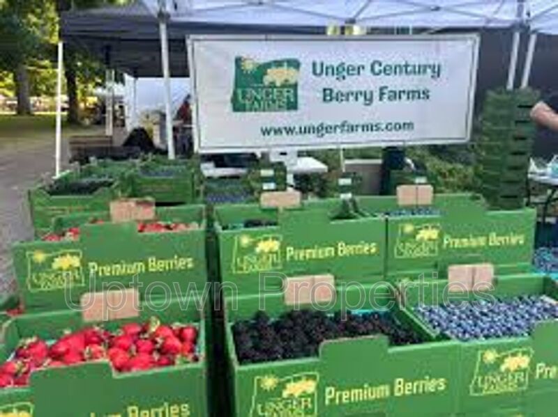 Single Story 1BD/1BTH + Fenced Backyard + W/D Hookups + Wood Floors Throughout! property image