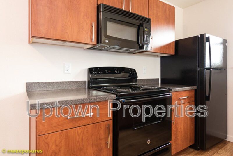 Spacious NEW Construction 925 sq ft 2 bed 1 bath W/D included property image