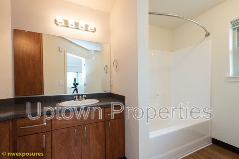 Spacious NEW Construction 925 sq ft 2 bed 1 bath W/D included property image