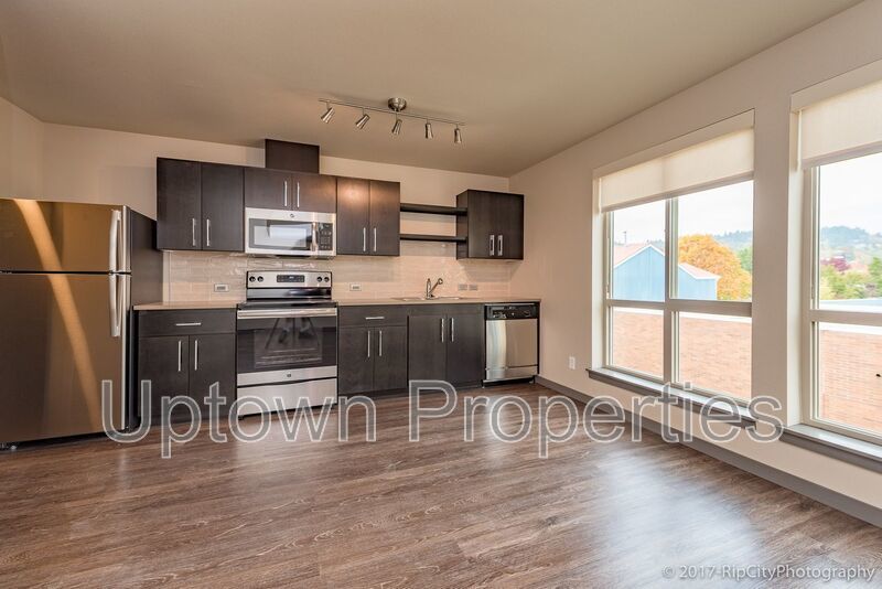 1BR Loft in  New Complex Near Willamette Park property image