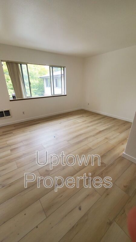 Renovated 2 bed 1 bath + Wood Floors + Assigned Parking! property image
