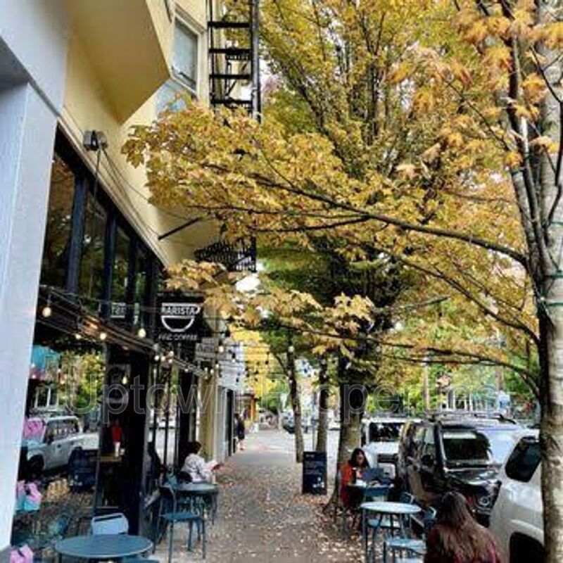 Renovated NW 23rd/Nob Hill 2 bed 1 bath Flat + Wood Floors + Off Street Parking + Laundry On site! property image