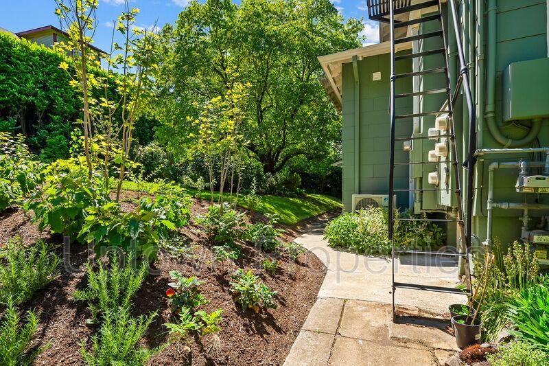 Cozy Studio Unit in Historic Belmont Craftsman Home property image