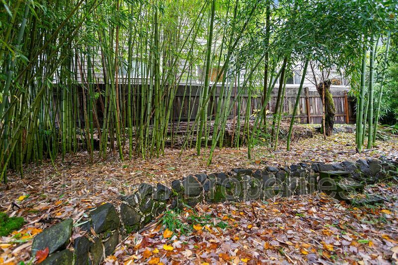 Charming 2-Bedroom Home in the Heart of SE Portland! property image